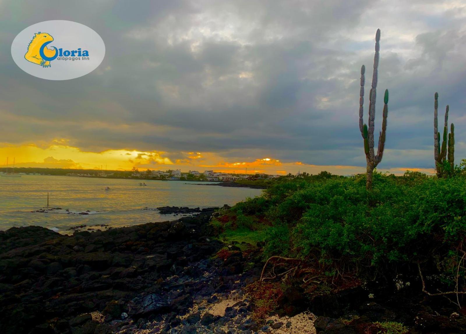 Gloria - Galapagos Inn Puerto Ayora  Bagian luar foto